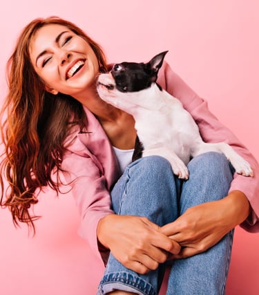Protege a tu amigo de cuatro patas