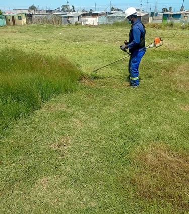 grass cutting cape town