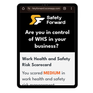 WHS Risk Scorecard