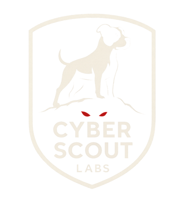 Cyber Scout logo