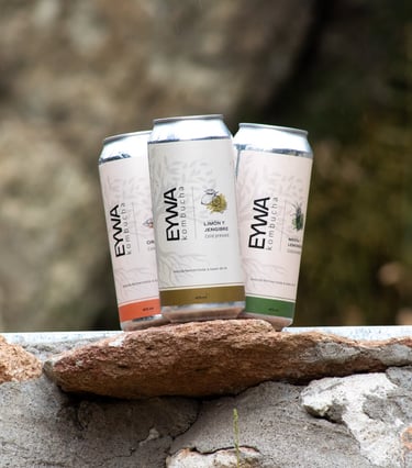 Kombuchas latas 354ml/ 473ml, no pasteurizadas, bebida a fermentada a base de te, probiotica