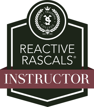 Reactive Rascal Instructor