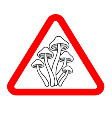 A red warning triangle featuring a mushroom illustration and the word INFUSED below.
