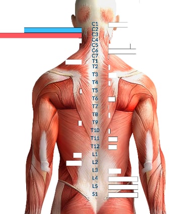 Insight neurological scan after a few months of care at Three Nails Chiropractic Franklin TN