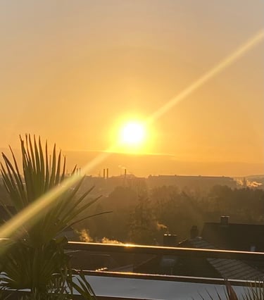 a sunset over a city skyline with a palm tree