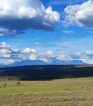 Vue sur les Tepuy de la Gran Sabana