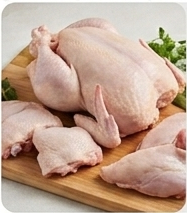 Pollo crudo entero y trozos de ave fresca cortados sobre una tabla de cortar de madera con hierbas