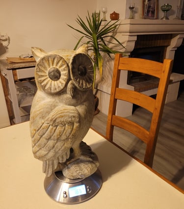 le poids de l'hibou est de 1k657