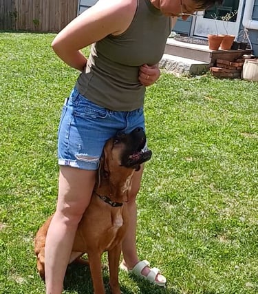 Juniper & owner obedience training
