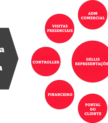 ESTRUTURA DA EMPRESA
