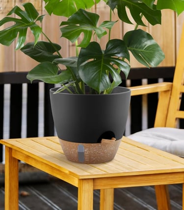 Black self-watering plant pots with built-in water level indicator and saucers for large plants