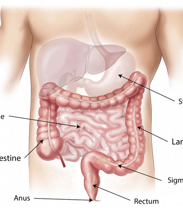 Digestive disorders ayurveda treatment