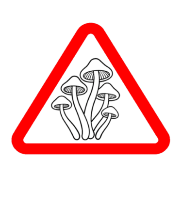 A red warning triangle featuring a mushroom illustration and the word INFUSED below.