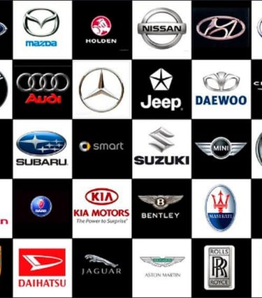 Mobili autodiagnostika Kaune Kauno rajone ir kituose miestuose.