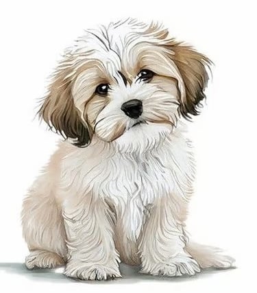 Animated image of a teacup designer breed Malshi Puppy 