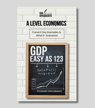 a level economics tutor special needs
