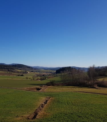 Aussicht im Bayerischen Wald