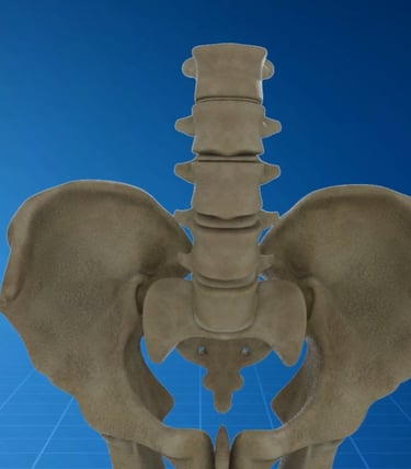 SI Joint Medical Animation