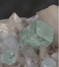 Apophyllite