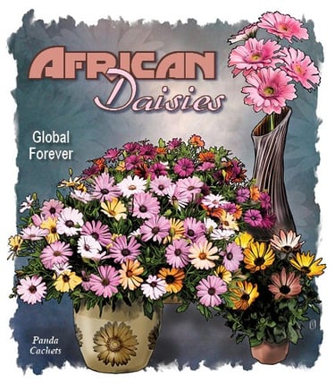 Cachet illustration of African daisies