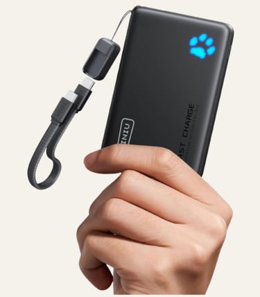 A hand holding a slim black INIU portable charger power bank with a blue paw indicator and USB-C cable.