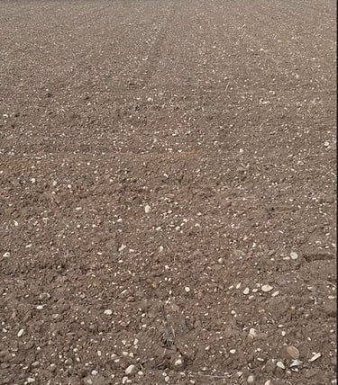 terrain agricole après avoir été labouré