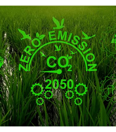 Cero emisión CO2