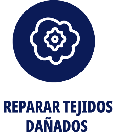 simbolo repara tejidos dañados
