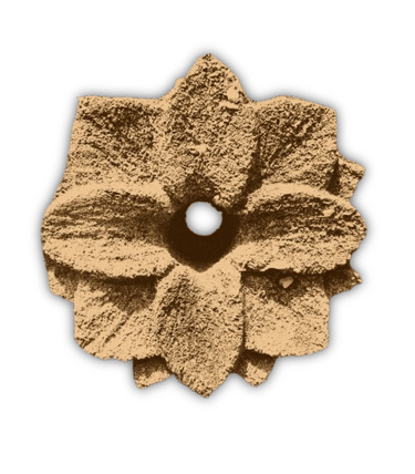 Fleur de pierre