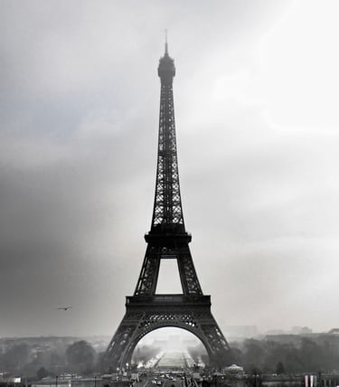 French Acupuncture Needle the Eiffel Tower