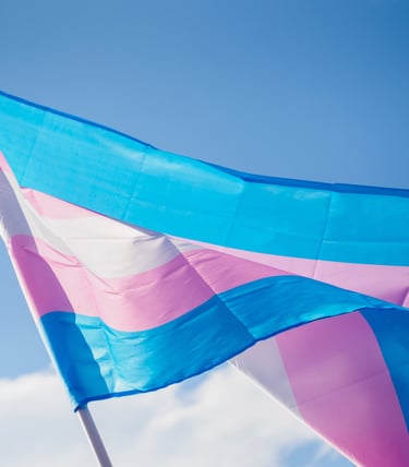 Trans and gender diverse affirming therapy in SF