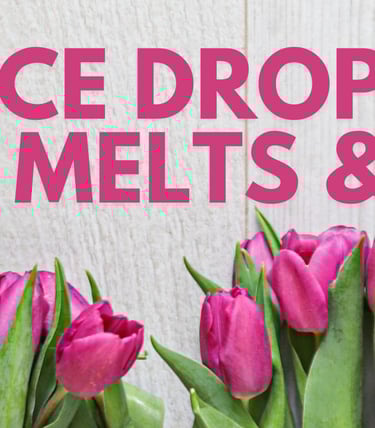 Wax melt and gifts price drop at Lyrical Scents