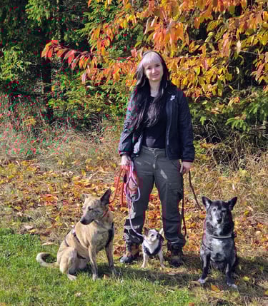 Mel mit 3 Hunden im Wald