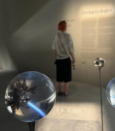 picture of the artist - Ewa Walkowska