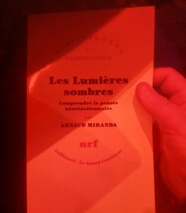 Couverture du livre Les lumières sombres d'Arnaud Miranda, éclairé par une lumière sombre