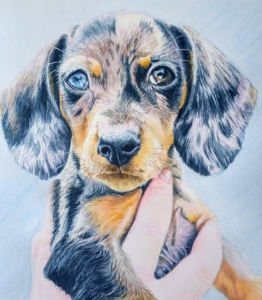 Pet portrait commission of Arlo