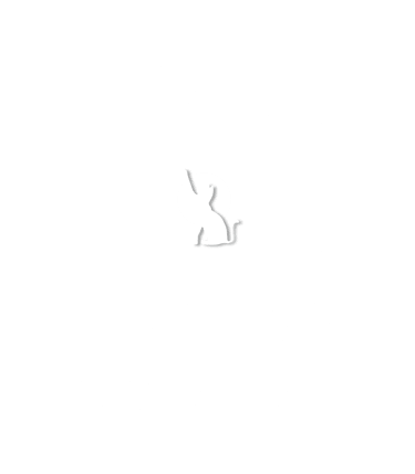 Digital Cat