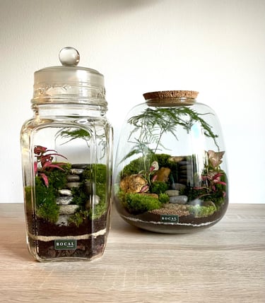 un bocal de plantes différentes - un terrarium unique