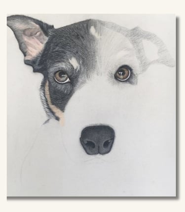 Hand-drawn pet portrait of a dog created using professional soft pastels.
