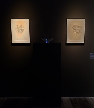 540 Instalación Medios Alternativos Premio Adquisición SNAV en CCK