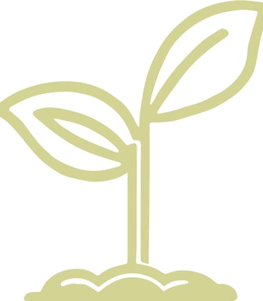a plant with a leafy sprout on top of a pile of dirt