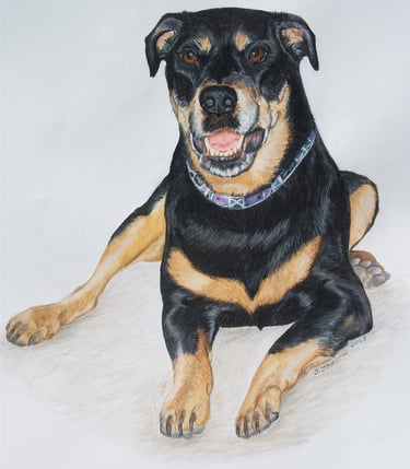 pet dog portrait artist art painting from your custom photograph colored pencil