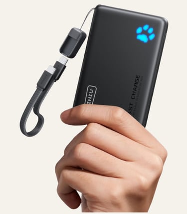 A hand holding a slim black INIU portable charger power bank with a blue paw indicator and USB-C cable.