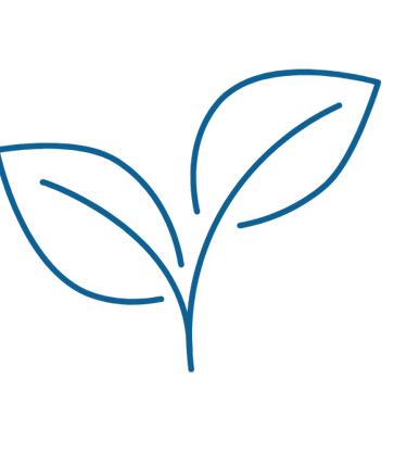 a plant with leaves on a black background