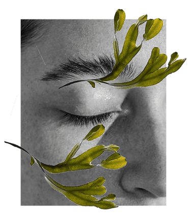 VOYA cosmetics