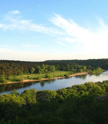 Kaunas, Panemunė