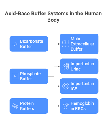 buffer system