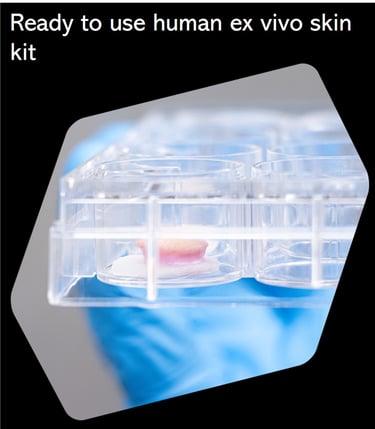CTIBIOTECH biobank biosourcing skin ex vivo kits