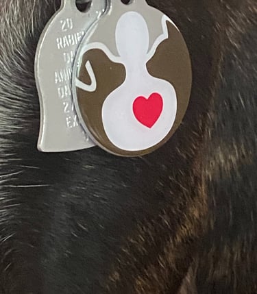 Pet Partners ID tag for Therapy Animals.