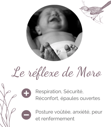 Fiche réflexe de Moro + Sécurité, respiration, - anxiété peurs hypersensibilité